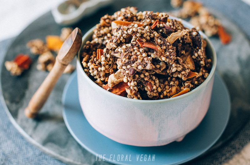 Fall Vegan Recipes: Vegan Pumpkin Pie Sprouted Granola